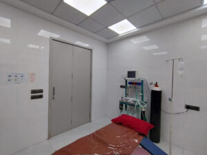 Best Hair Transplant Surgeon in Surat